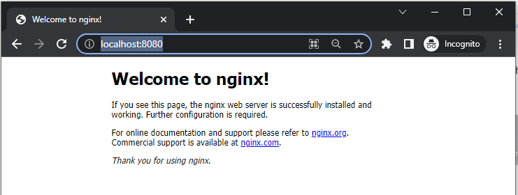 nginx page 